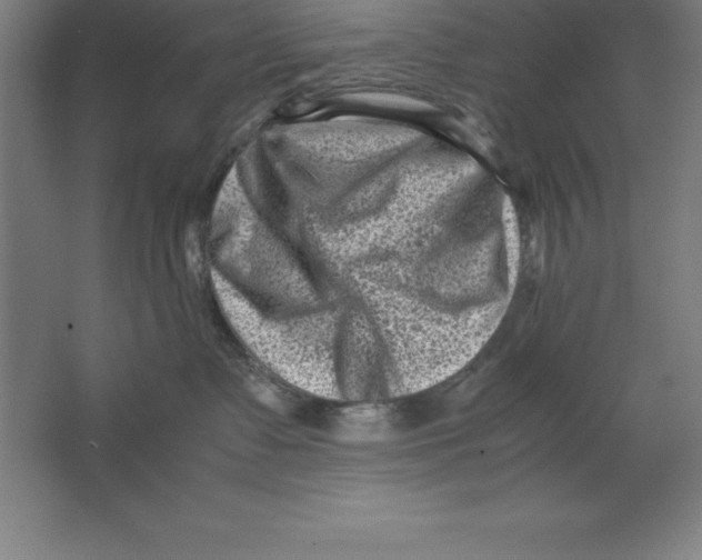 X0000062130335200512301508