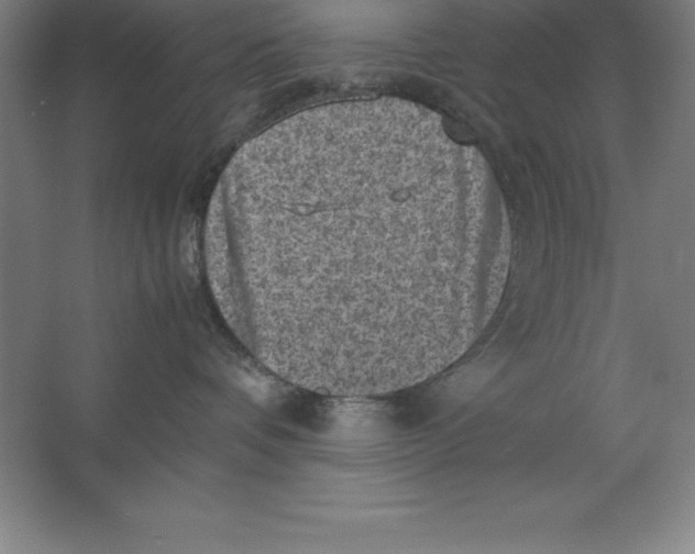 X0000062130336200512301508