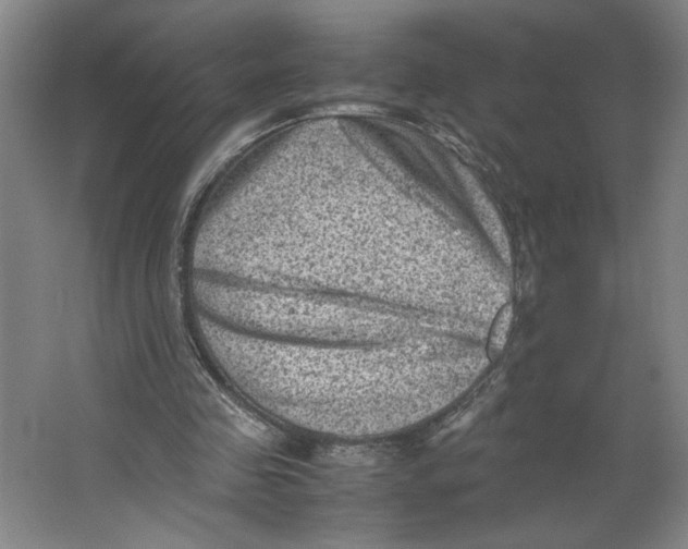 X0000062130341200512301507