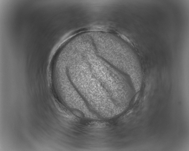 X0000062130343200512301507