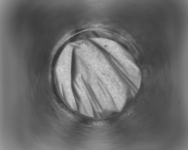 X0000062130344200512301507