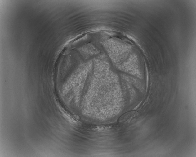 X0000062130345200512301507