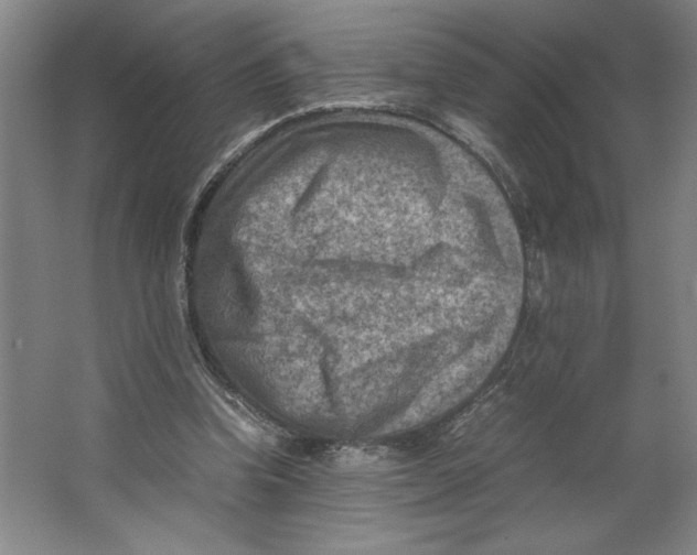 X0000062130346200512301507