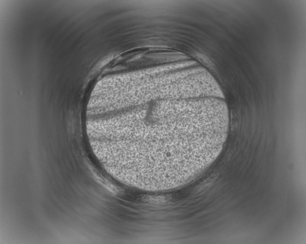 X0000062130349200512301507