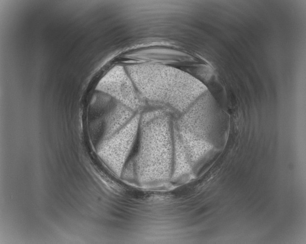 X0000062130350200512301507