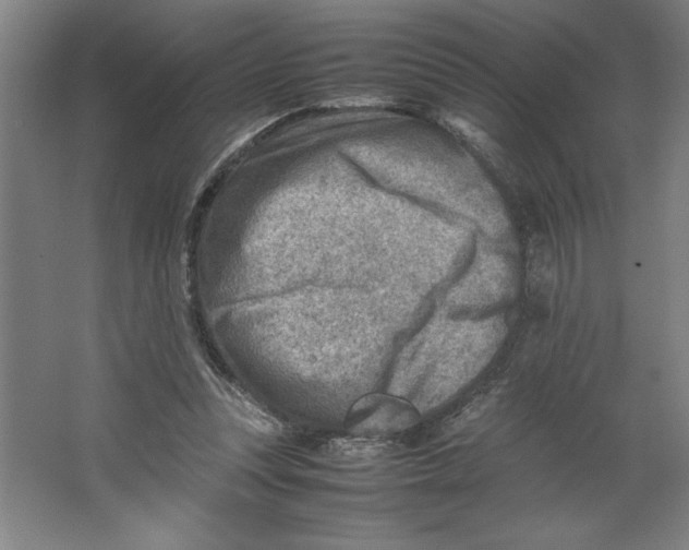 X0000062130351200512301507