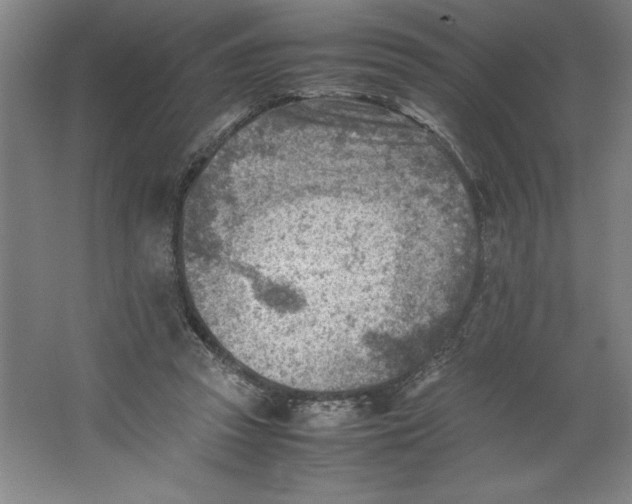 X0000062130353200512301507