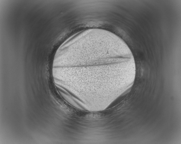 X0000062130354200512301507