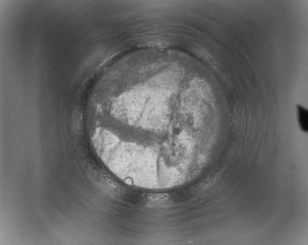 X0000062130355200512301507