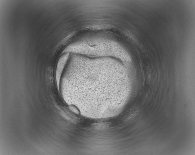 X0000062130356200512301507