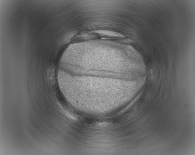 X0000062130360200512301507