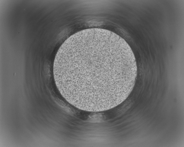 X0000062130362200512301507