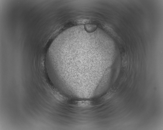 X0000062130363200512301507