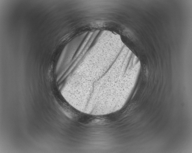 X0000062130364200512301507