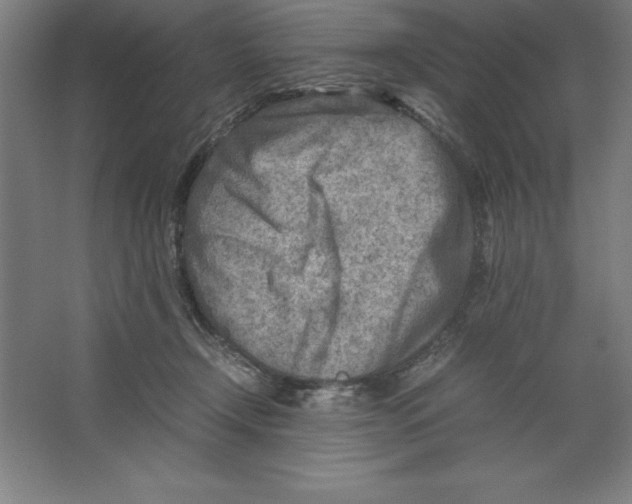 X0000062130366200512301507