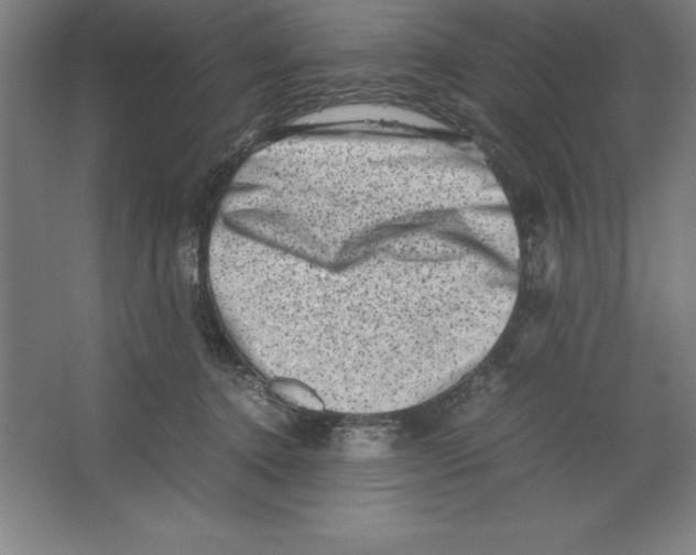 X0000062130368200512301507