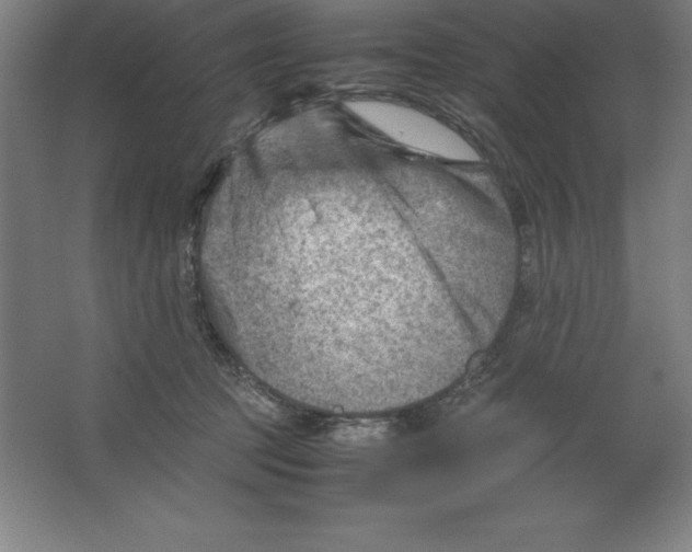 X0000062130369200512301507