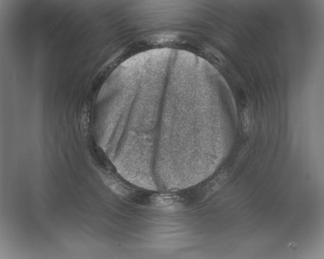 X0000062130372200512301507