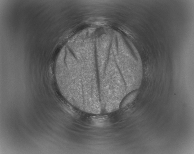 X0000062130373200512301507