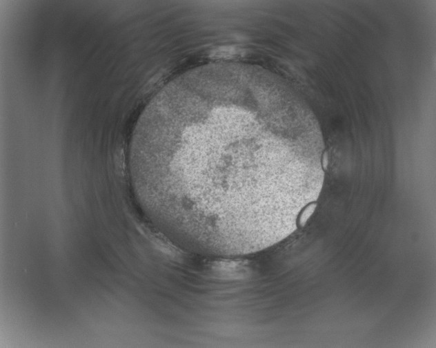 X0000062130375200512301507