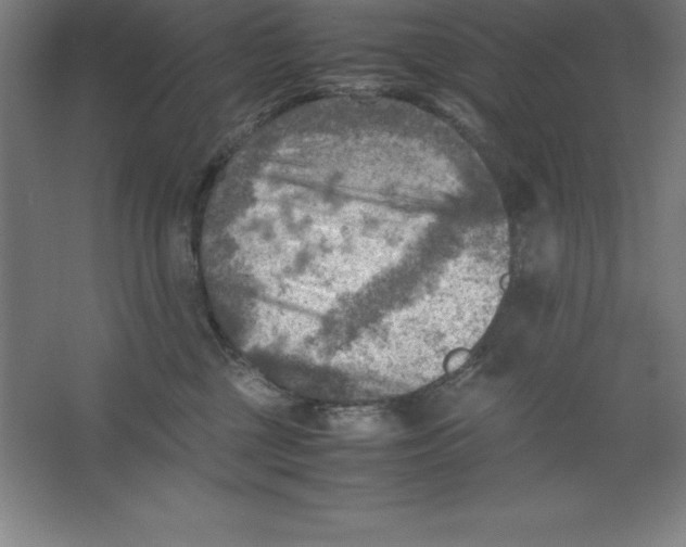 X0000062130377200512301507