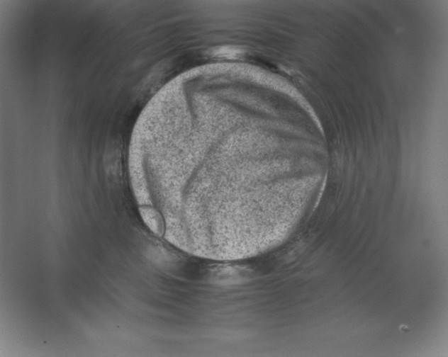 X0000062130379200512301508