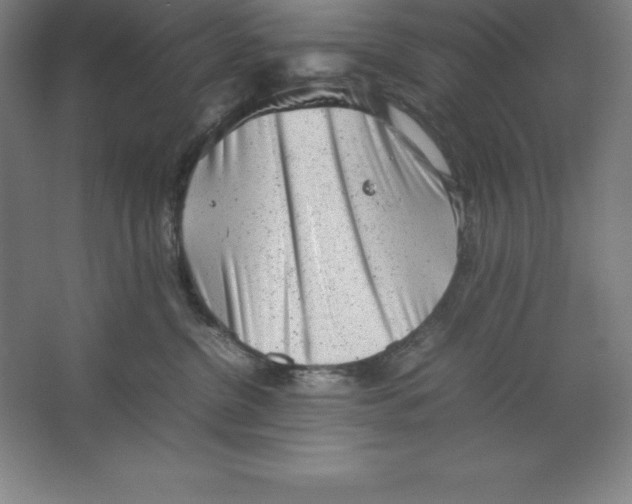 X0000062130380200512301508