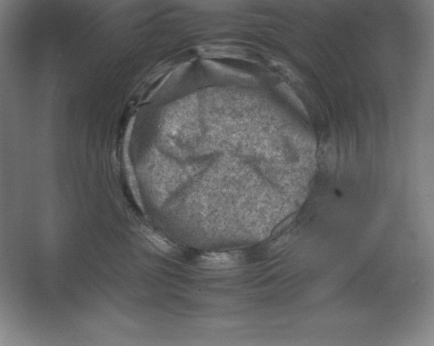 X0000062130381200512301508