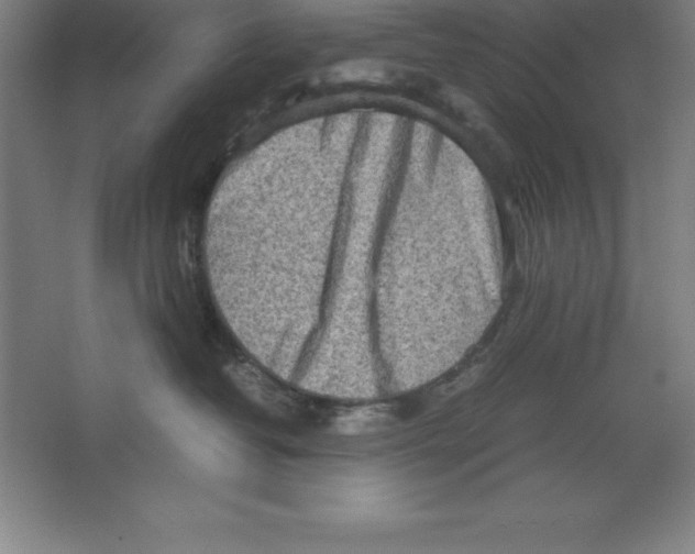 X0000062130382200512301508