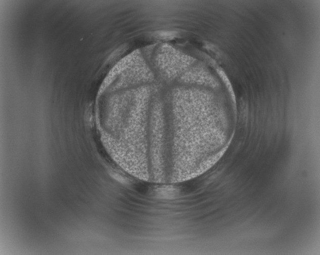 X0000062130383200512301508