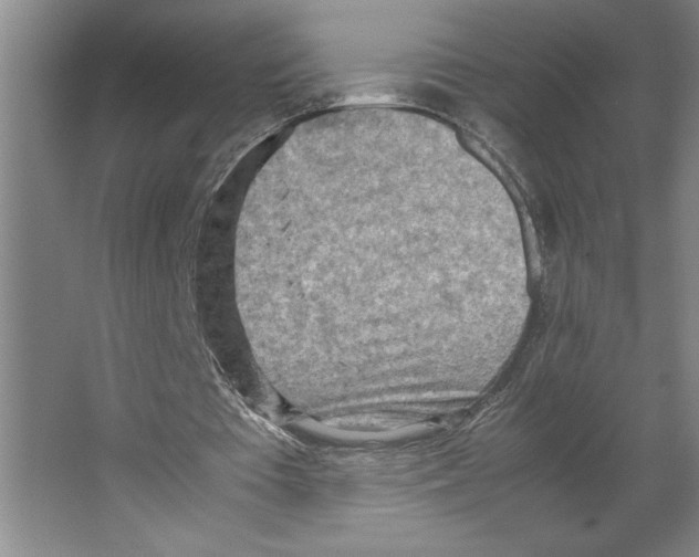 X0000062130385200512301507