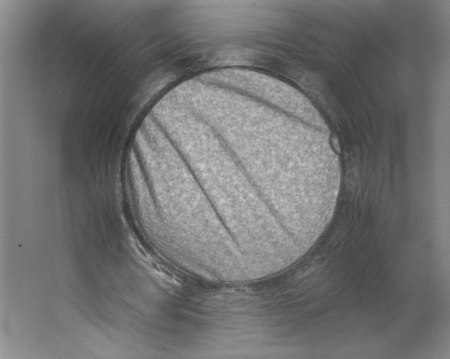 X0000062130386200512301507