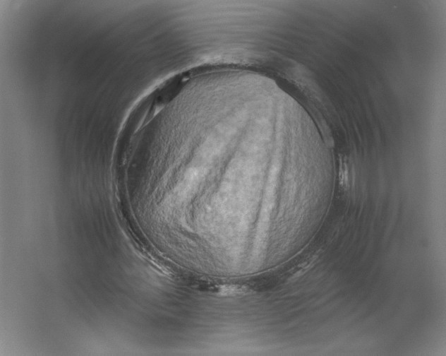 X0000062130388200512301507