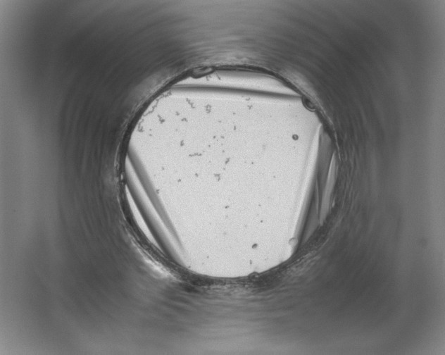 X0000062130389200512301507