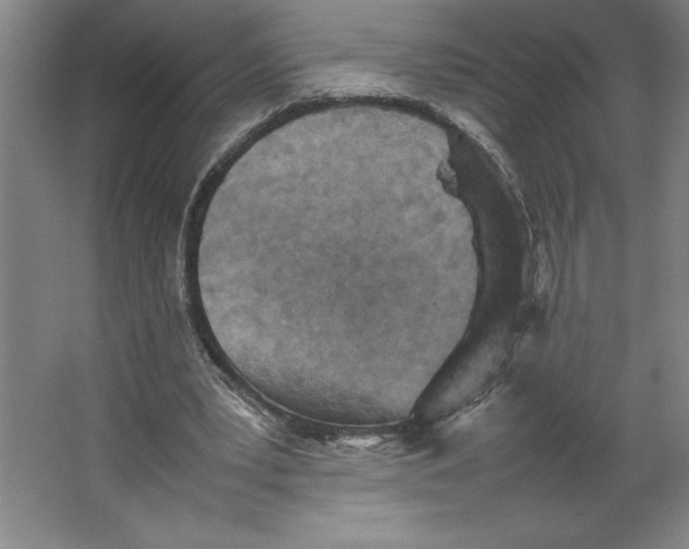 X0000062130391200512301507