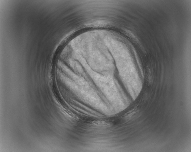 X0000062130392200512301507