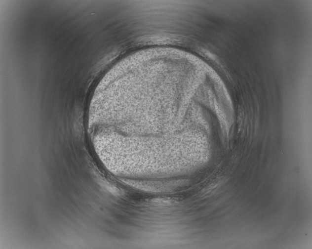 X0000062130394200512301507