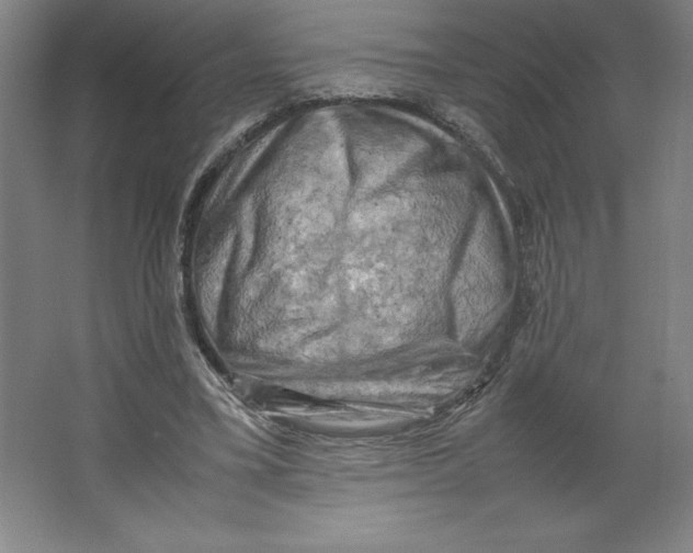 X0000062130395200512301507