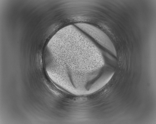 X0000062130398200512301507