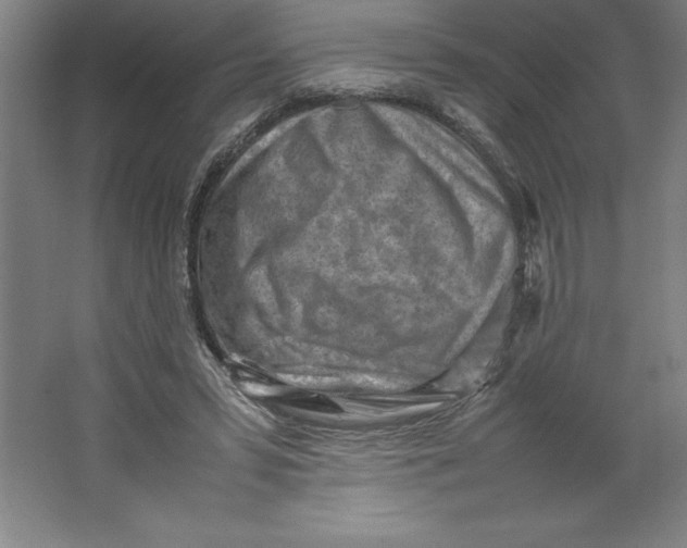 X0000062130399200512301507