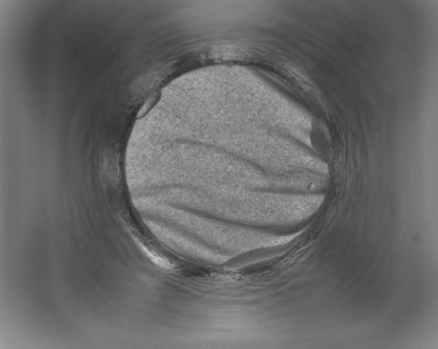 X0000062130401200512301507