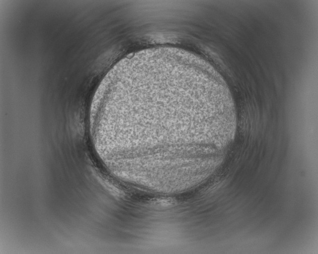 X0000062130402200512301507