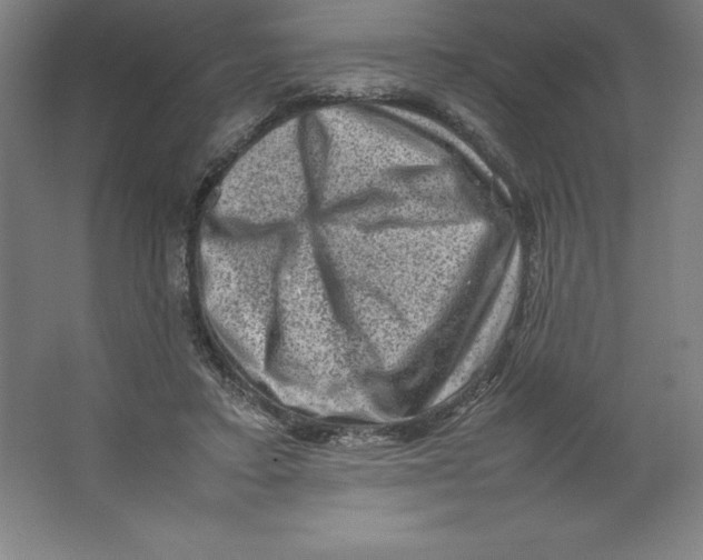 X0000062130403200512301506