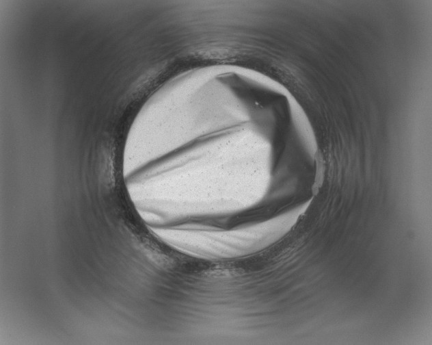 X0000062130404200512301506