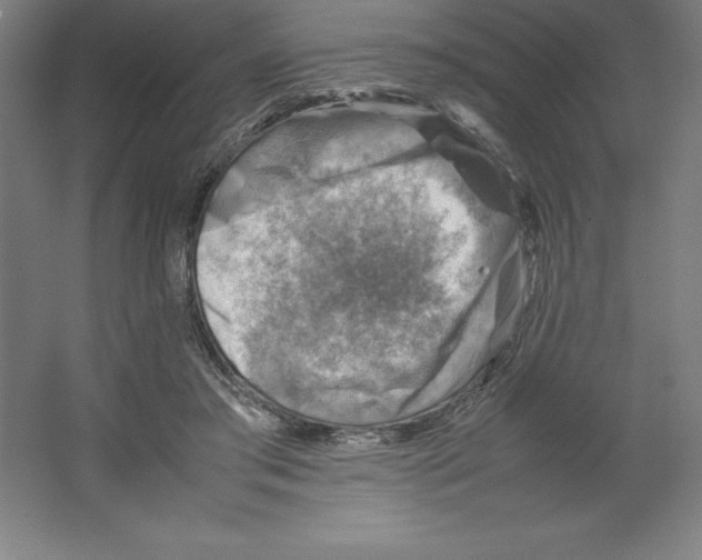 X0000062130405200512301506