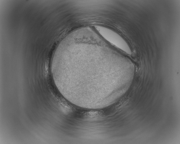 X0000062130406200512301506