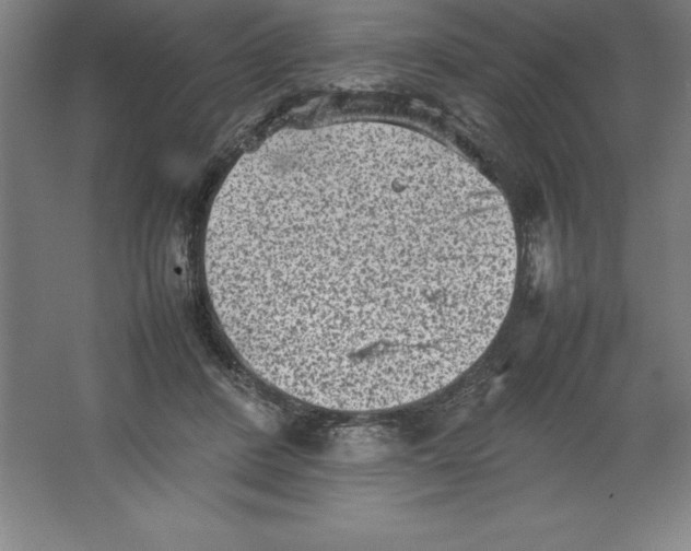 X0000062130408200512301506