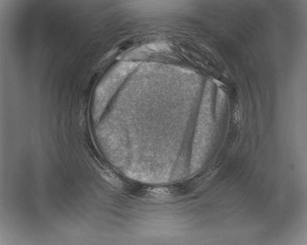 X0000062130409200512301506