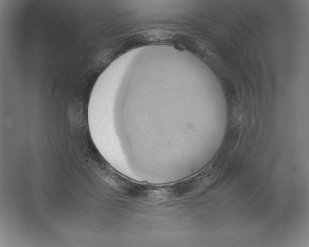 X0000062130411200512301506