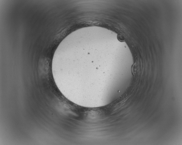 X0000062130412200512301506